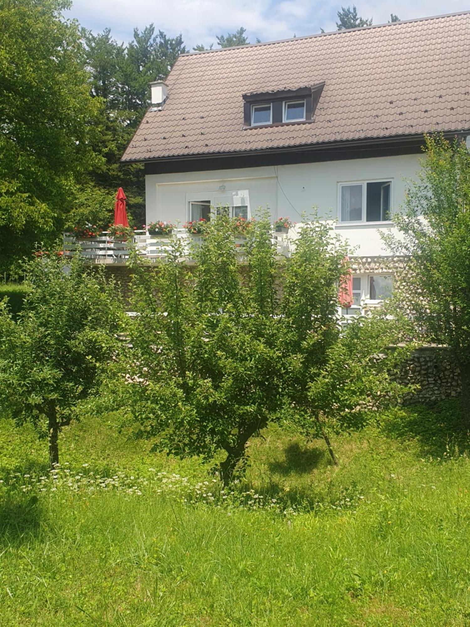 Guesthouse Nikola พลิตวิชกา เยเซรา ภายนอก รูปภาพ