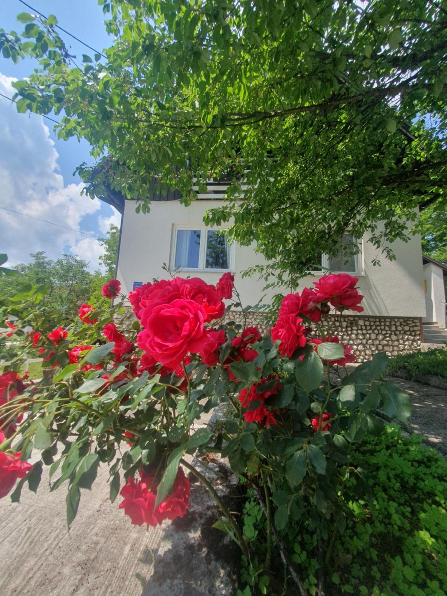Guesthouse Nikola พลิตวิชกา เยเซรา ภายนอก รูปภาพ