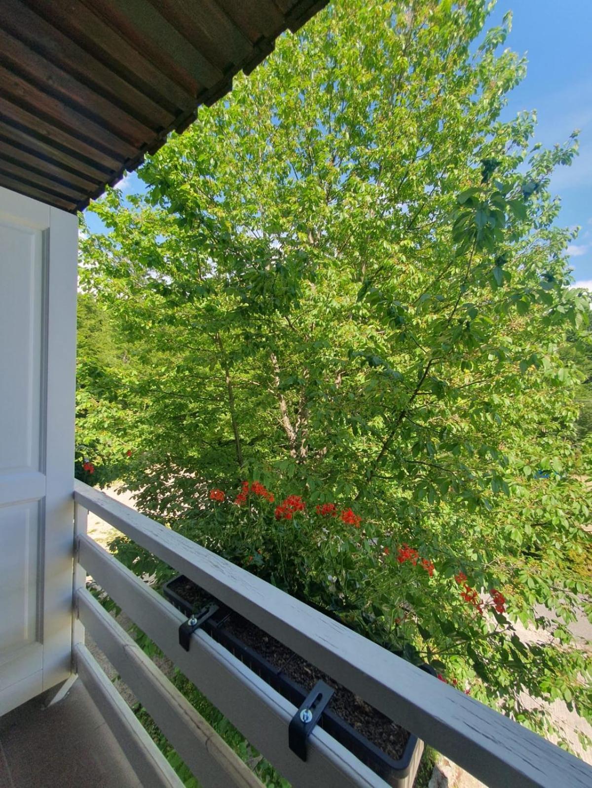 Guesthouse Nikola พลิตวิชกา เยเซรา ภายนอก รูปภาพ
