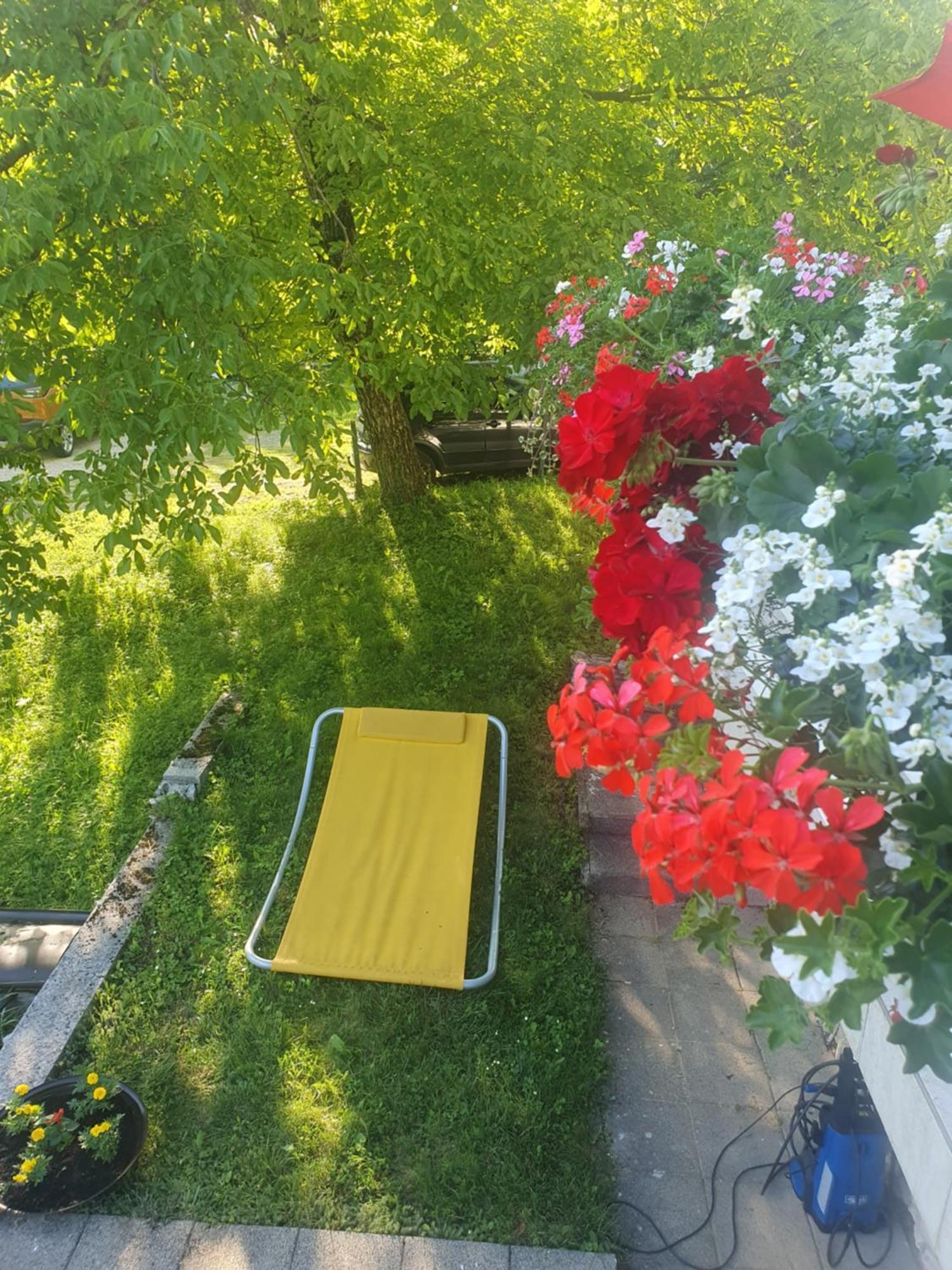 Guesthouse Nikola พลิตวิชกา เยเซรา ภายนอก รูปภาพ