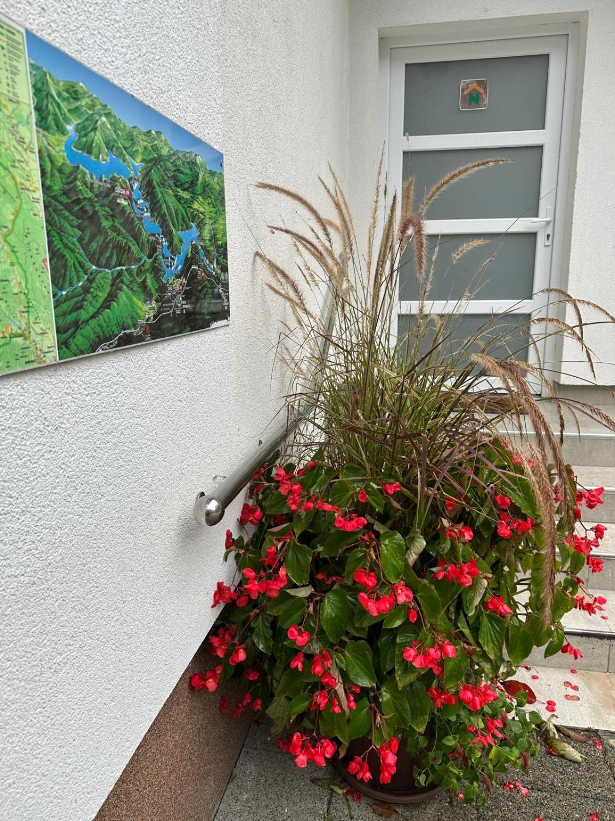 Guesthouse Nikola พลิตวิชกา เยเซรา ภายนอก รูปภาพ